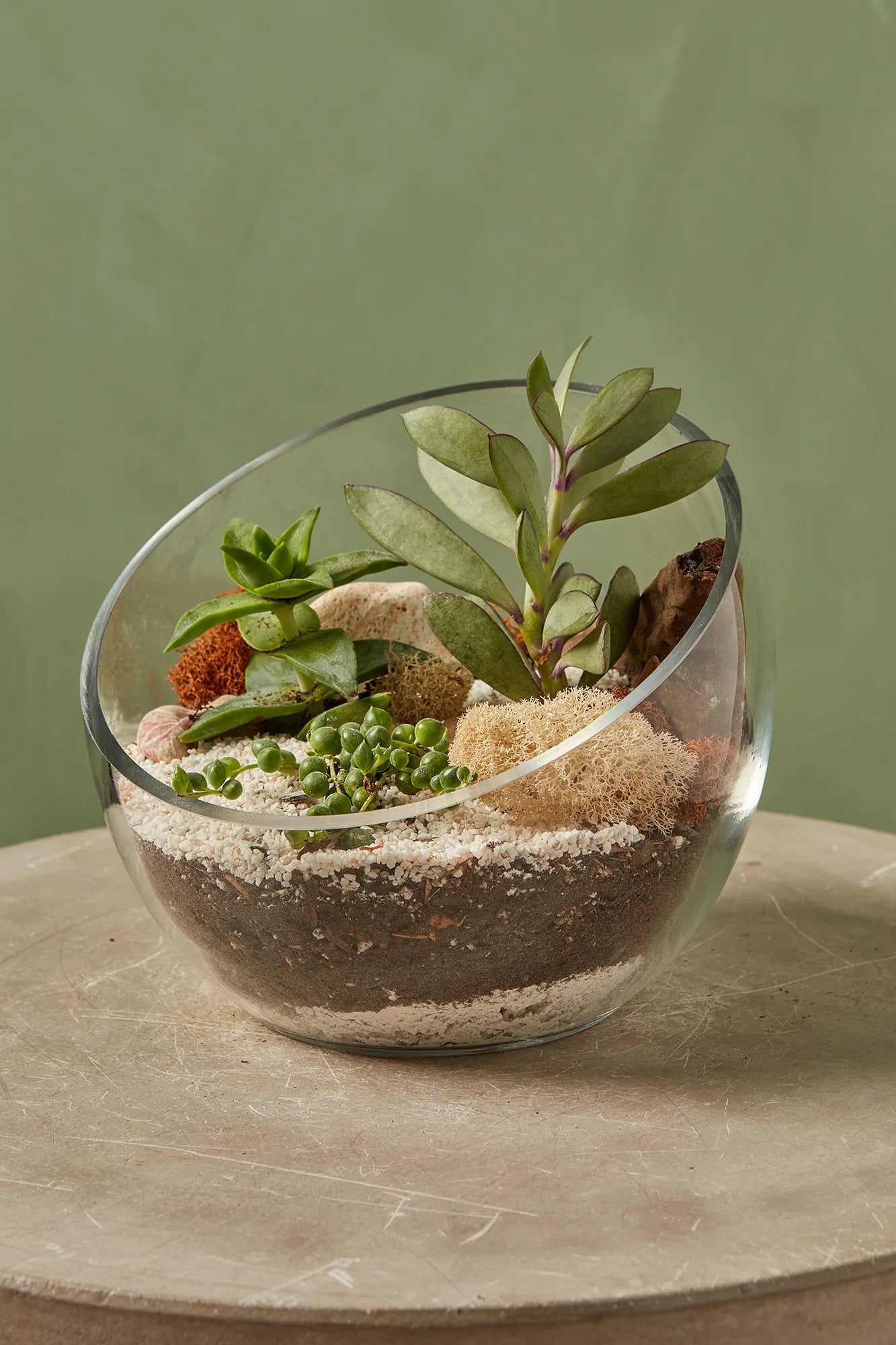 Terrarium Workshop - Wednesday, July 22 at 6:30pm