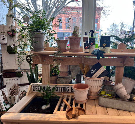 Potting Workshop - Feb 23rd at 6:30pm