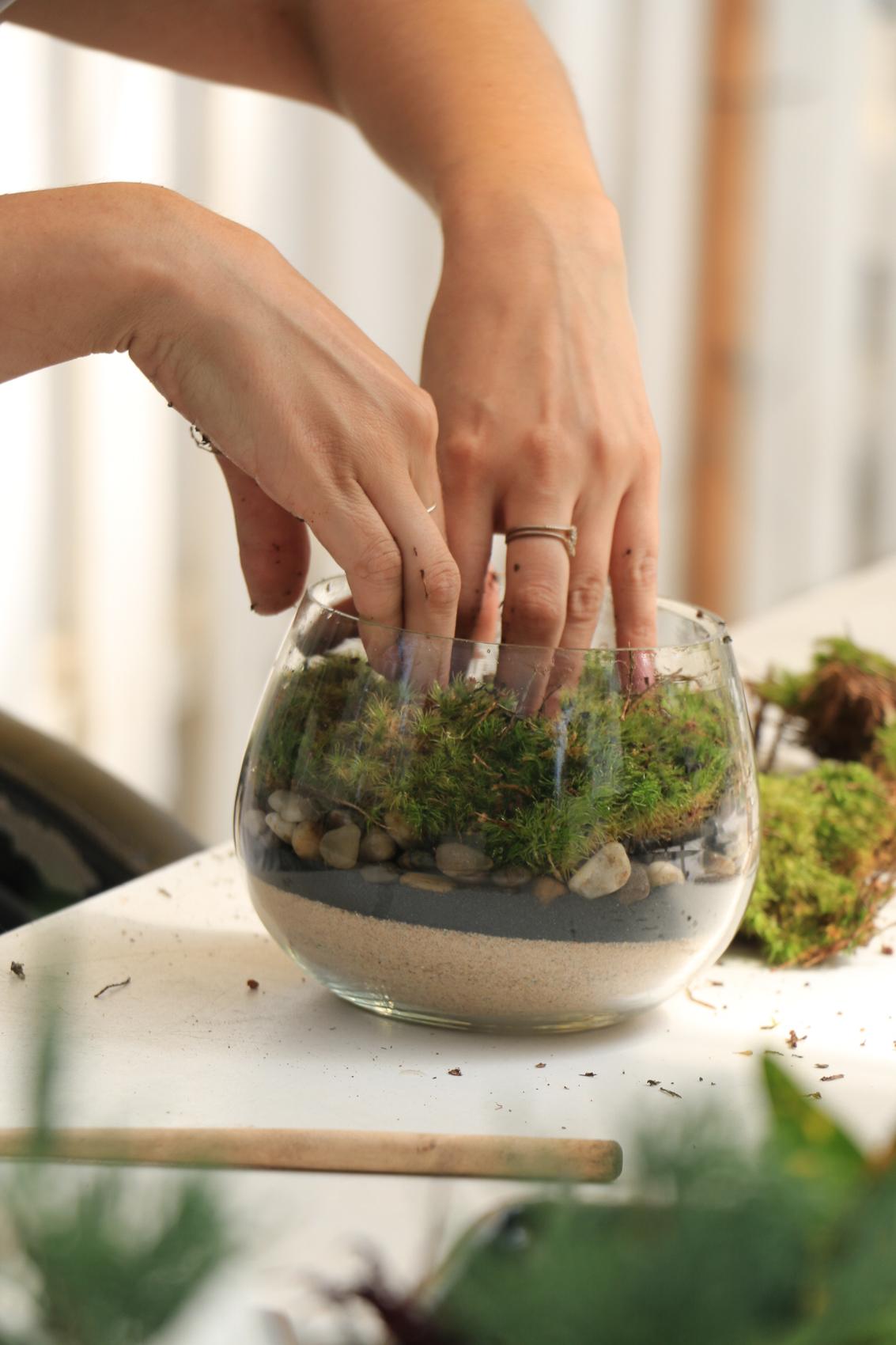 Terrarium Workshop - Wednesday, July 22 at 6:30pm