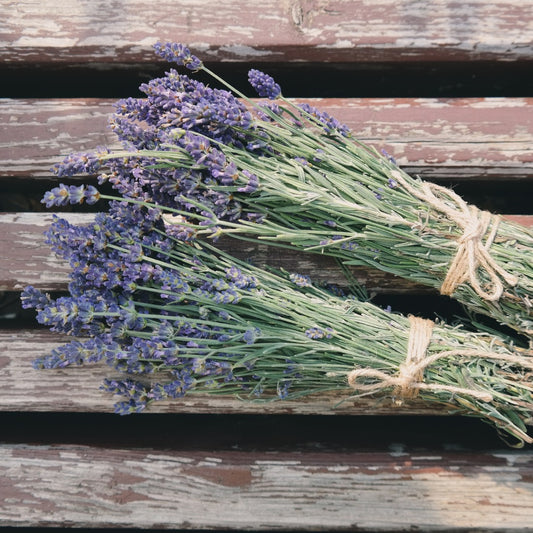 Botanicals & Balance Lavender Workshop - Jan 23rd