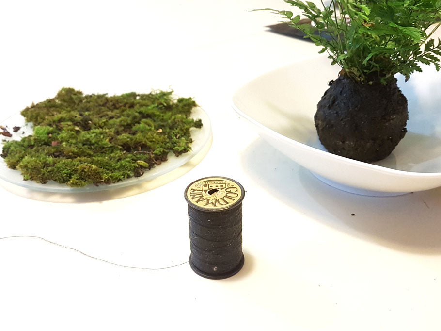 Kokedama Workshop - Wednesday, July 8, 2026 at 6:30pm