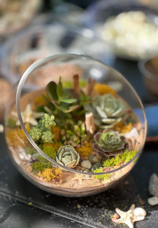 Terrarium Workshop - Wednesday, July 22 at 6:30pm